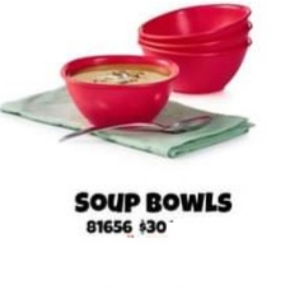 Tupperware soup bowls